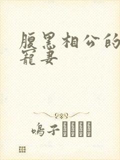 腹黑相公的庶女宠妻