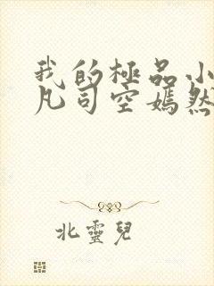 我的极品小姨叶凡司空嫣然