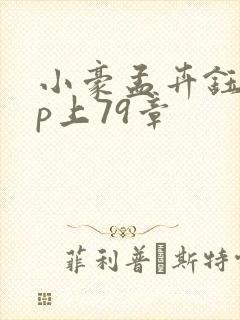 小豪孟卉钰慧三p上79章封面