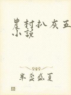 农村扒灰五十篇小说封面