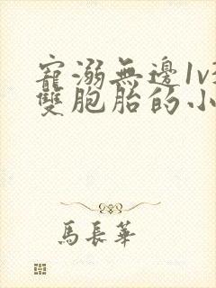 宠溺无边1v3双胞胎的小说