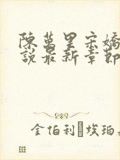 陈万里宋娇娇小说最新章节更新时间表