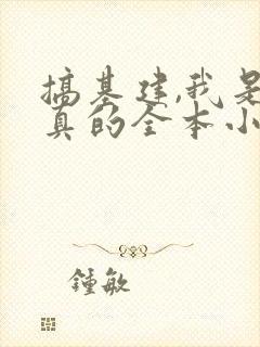 搞基建,我是认真的全本小说txt下载