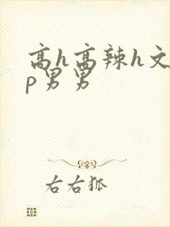 高h高辣h文np男男
