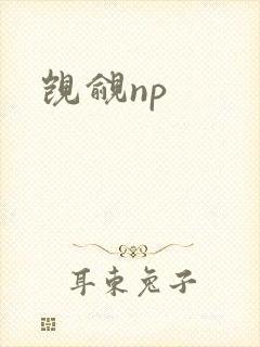 觊觎np