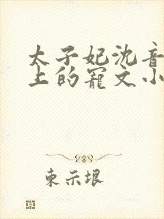 太子妃沈音和皇上的宠文小说封面
