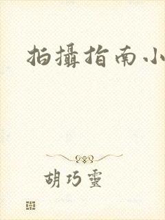 拍摄指南小说