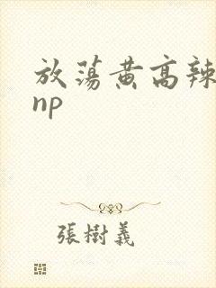 放荡黄高辣h文np