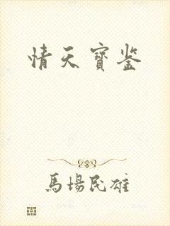 情天宝鉴封面