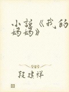 小说《我的风流妈妈》