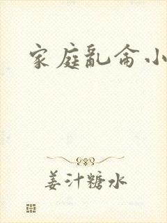 家庭乱仑小说