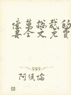 亿万总裁的隐婚妻全文免费阅读