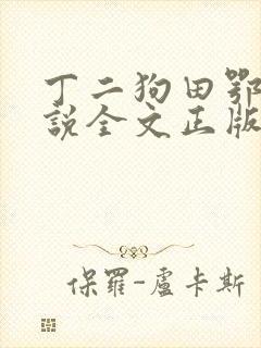 丁二狗田鄂茹小说全文正版免费阅读