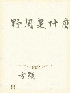野周是什么意思