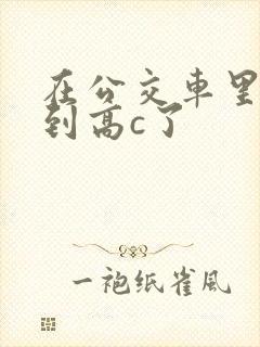 在公交车里c弄到高c了