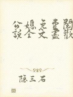 公媳免费阅读小说全文尽欢年代