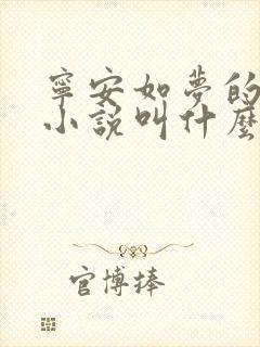 宁安如梦的原著小说叫什么