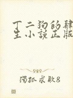 丁二狗的肆意人生小说正版