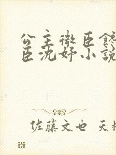 公主微臣馋了微臣沈妤小说