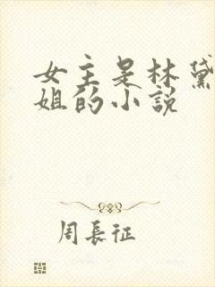女主是林黛玉姐姐的小说