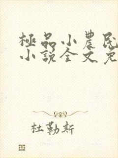 极品小农民项林小说全文免费阅读封面