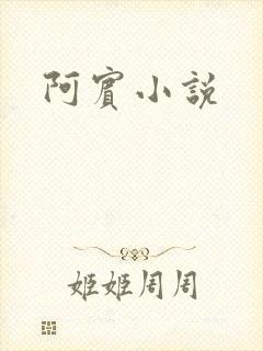 阿宾小说