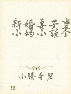 新婚妻子变成了小妈小说全文阅读封面