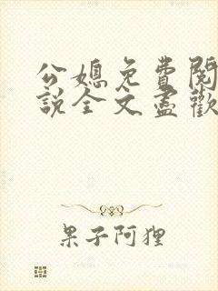 公媳免费阅读小说全文尽欢年代
