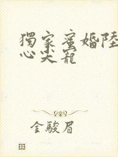 独家蜜婚陆少的心尖宠