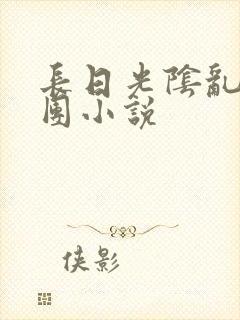长日光阴乱作一团小说