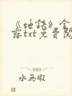 《地铁》金银花露txt免费阅读在线封面