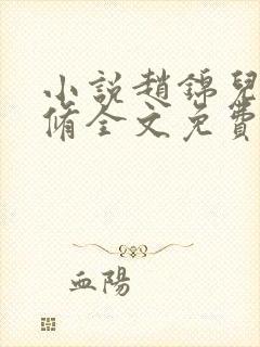 小说赵锦儿秦慕修全文免费阅读免费封面