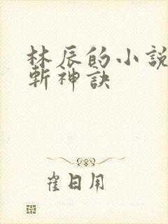 林辰的小说九天斩神诀