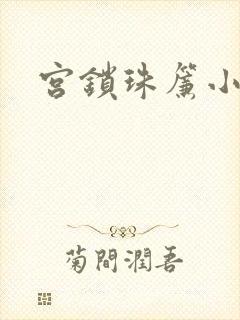 宫锁珠帘小说