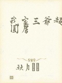 我家三爷超宠的圆房
