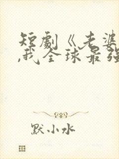 短剧《老婆别怕,我全球最强》演员