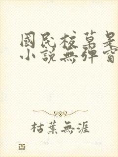 国民校草是女生小说无弹窗全文免费阅读