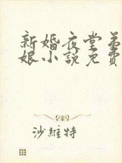新婚夜堂弟上新娘小说免费阅读最新