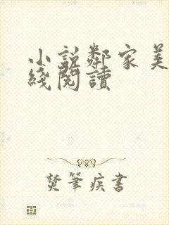 小说邻家美姨在线阅读