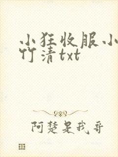 小狂收服小舞朱竹清txt