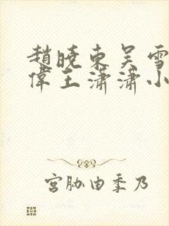赵晓东吴雪晴郑伟王潇潇小说
