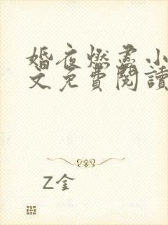 婚夜燃尽小说全文免费阅读txt