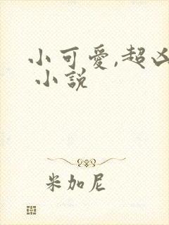 小可爱,超凶的 小说封面