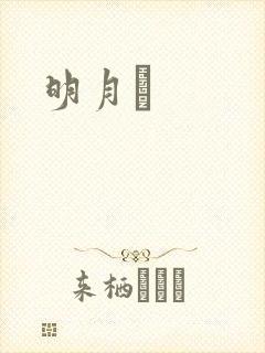 明月珰封面
