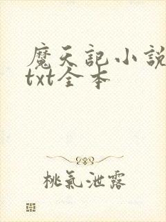 魔天记小说下载txt全本