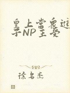 皇上当众进入太子NP主受