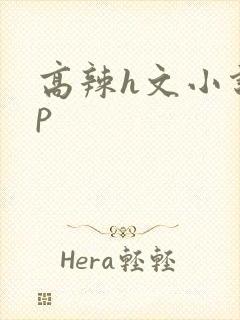 高辣h文小说np