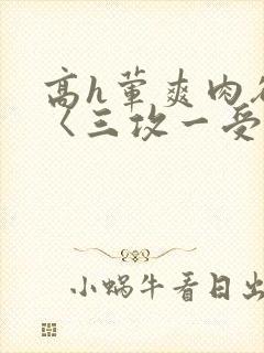 高h荤爽肉欲文〈三攻一受