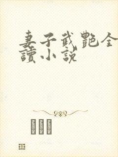 妻子武艳全文阅读小说