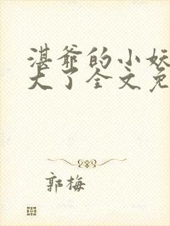 湛爷的小妖精长大了全文免费阅读